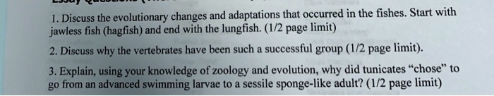 1. Discuss the evolutionary changes and adaptations that occurred in the fishes. Start with
jawless fish (hagfish) and end with the lungfish. (1/2 page limit)

2. Discuss why the vertebrates have been such a successful group (1/2 page limit).

3. Explain, using your knowledge of zoology and evolution, why did tunicates "chose" to
go from an advanced swimming larvae to a sessile sponge-like adult? (1/2 page limit)