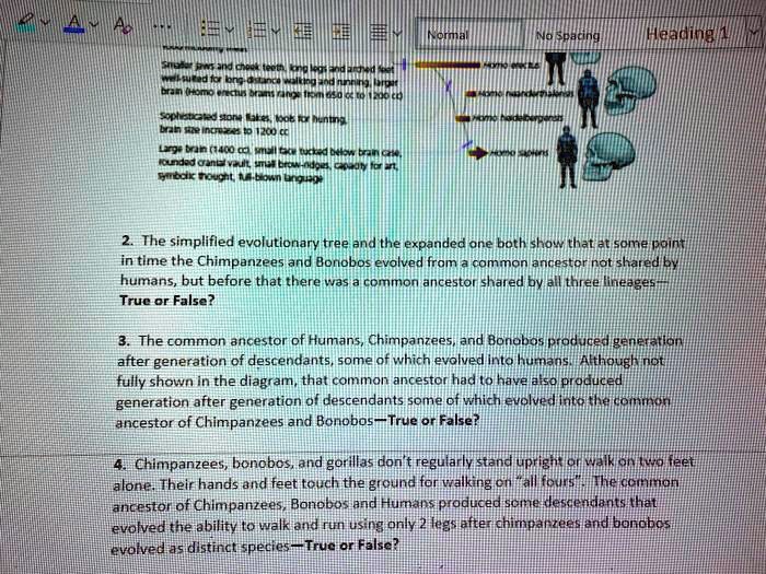 2. The simplified evolutionary tree and the expanded one both show that at some point
in time the Chimpanzees and Bonobos evolved from a common ancestor not shared by
humans, but before that there was a common ancestor shared by all three lineages–
True or False?

3. The common ancestor of Humans, Chimpanzees, and Bonobos produced generation
after generation of descendants, some of which evolved into humans. Although not
fully shown in the diagram, that common ancestor had to have also produced
generation after generation of descendants some of which evolved into the common
ancestor of Chimpanzees and Bonobos–True or False?

4. Chimpanzees, bonobos, and gorillas don't regularly stand upright or walk on two feet
alone. Their hands and feet touch the ground for walking on "all fours". The common
ancestor of Chimpanzees, Bonobos and Humans produced some descendants that
evolved the ability to walk and run using only 2 legs after chimpanzees and bonobos
evolved as distinct species–True or False?