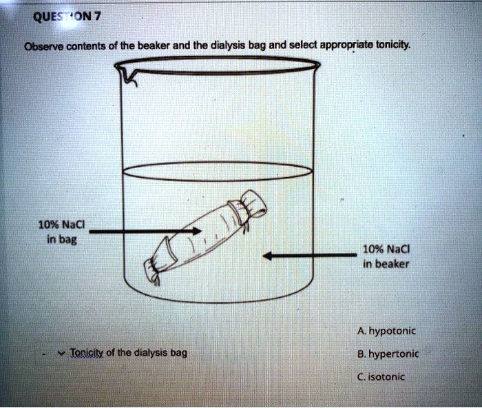 Hypertonic Beaker Diagram