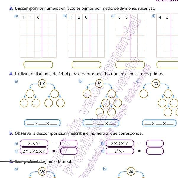 SOLVED: La respuesta de esta materia Descompón los números en factores ...