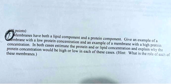 Prolein SOLVED: points) Membranes have both lipid component and embrane with ...
