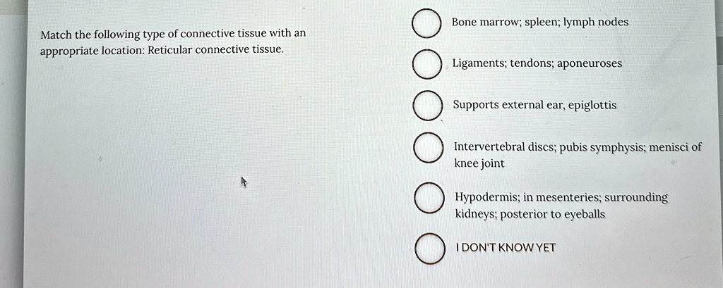 Match the following type of connective tissue with an appropriate ...