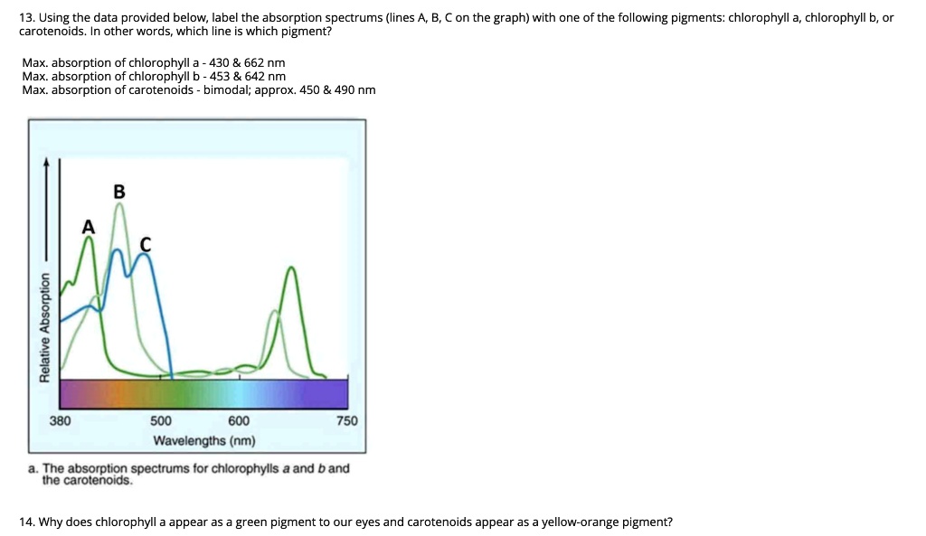 SOLVED Using the data provided below, identify the absorption