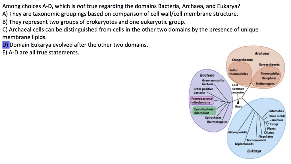 SOLVED Among choices AD, which is not true regarding the domains