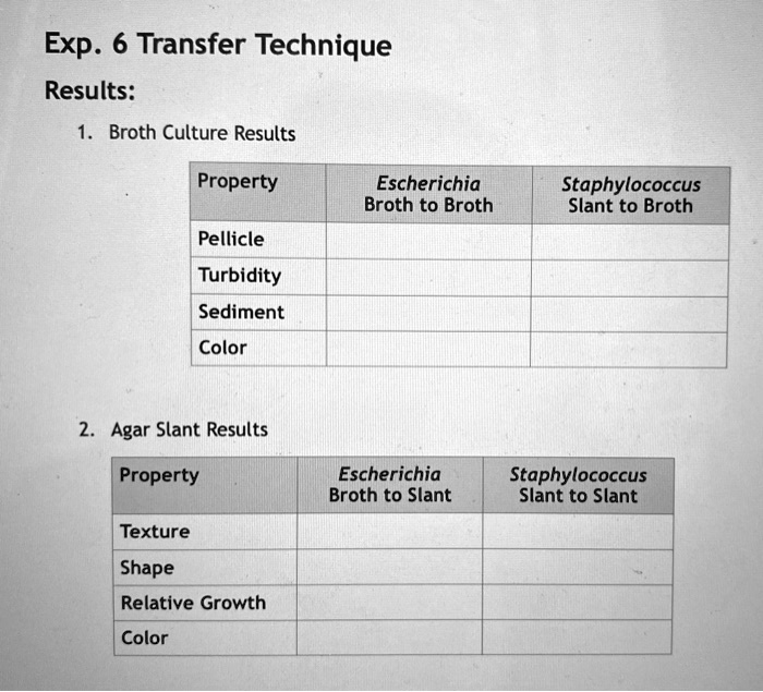 Exp. 6 Transfer Technique

Results:

1. Broth Culture Results

Property | Escherichia Broth to Broth | Staphylococcus Slant to Broth
—|—|—
Pellicle | | 
Turbidity | | 
Sediment | | 
Color | | 

2. Agar Slant Results

Property | Escherichia Broth to Slant | Staphylococcus Slant to Slant
—|—|—
Texture | | 
Shape | | 
Relative Growth | | 
Color | |