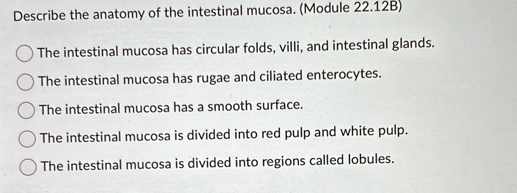 describe the anatomy of the intestinal mucosa module 2212b the ...
