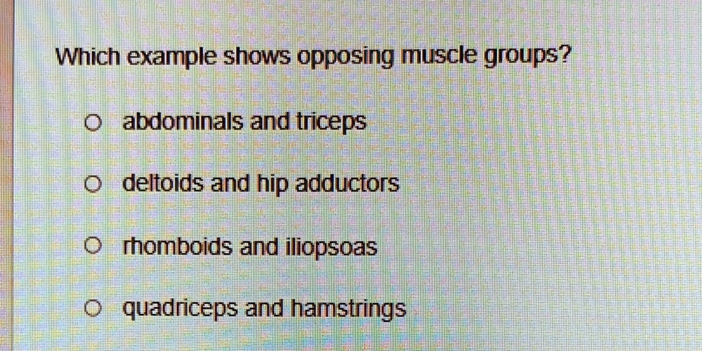 SOLVED: Which example shows opposing muscle groups? D abdominals and ...