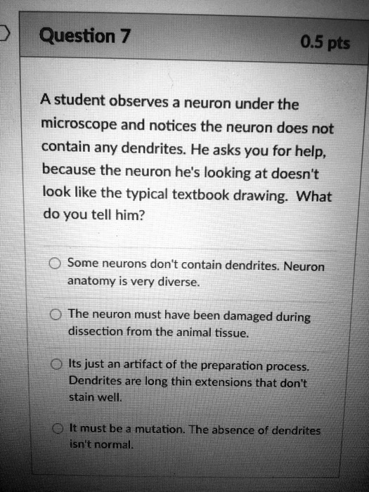 A student observes a neuron under the microscope and notices the neuron does not contain any dendrites. He asks you for help, because the neuron he's looking at doesn't look like the typical textbook drawing. What do you tell him?

Some neurons don't contain dendrites. Neuron anatomy is very diverse.
The neuron must have been damaged during dissection from the animal tissue.
Its just an artifact of the preparation process. Dendrites are long thin extensions that don't stain well.
It must be a mutation. The absence of dendrites isn't normal.