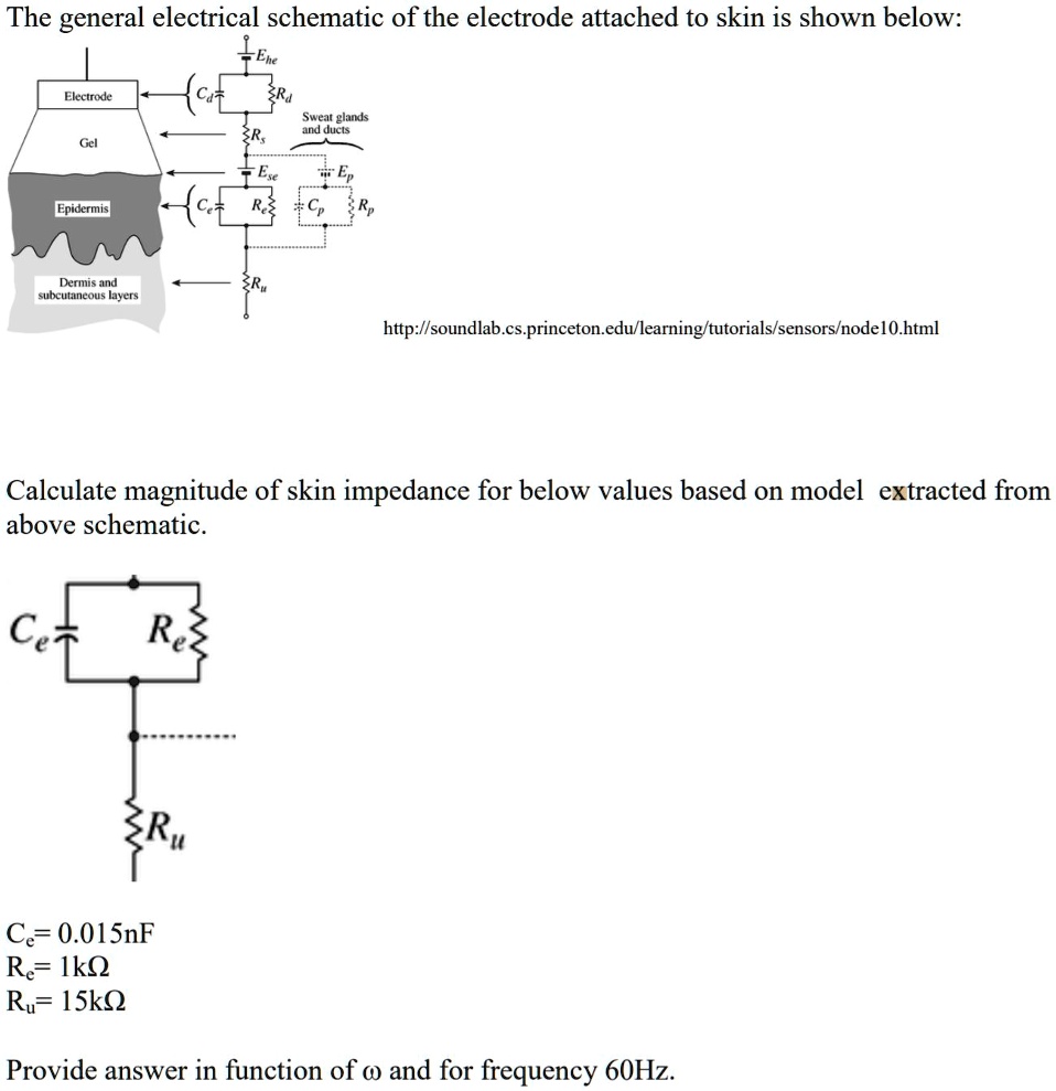 the general electrical schematic of the electrode attached to skin is ...