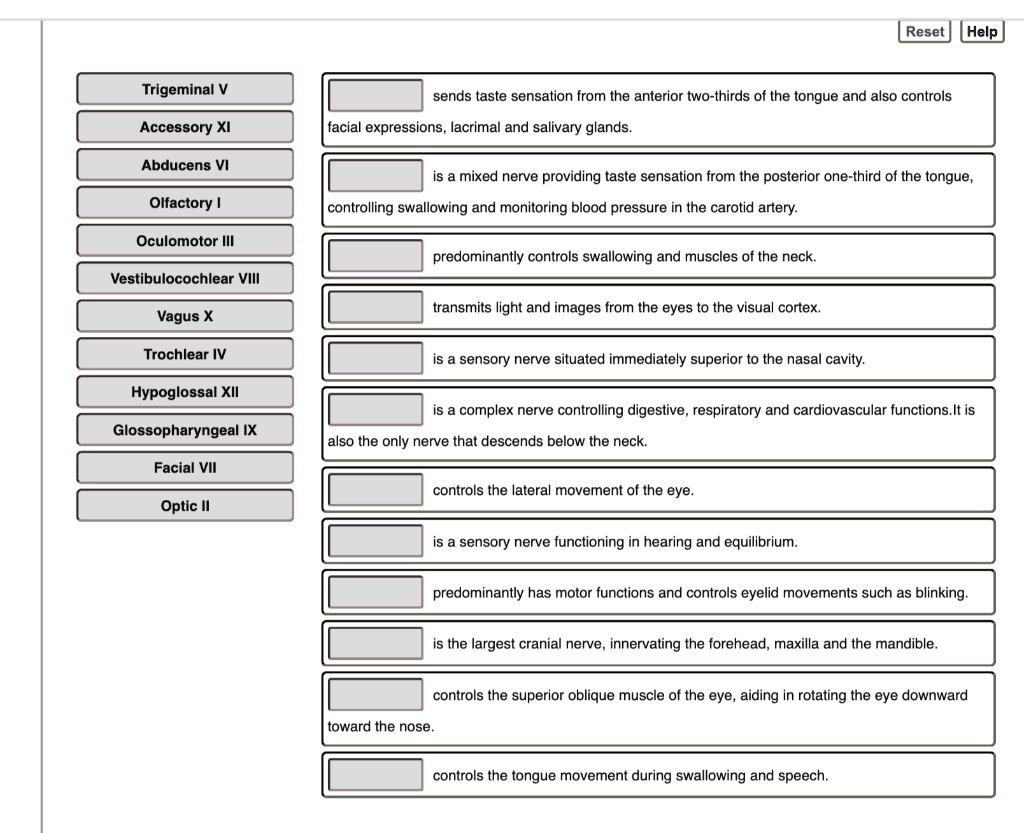 SOLVED Trigeminal V sends taste sensation from the anterior twothirds