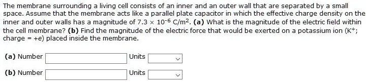 The membrane surrounding a living cell consists of an inner and an outer wall that are separated by a small space. Assume that the membrane acts like a parallel plate capacitor in which the effective charge density on the inner and outer walls has a magnitude of 7.3 !!! 10^-6 C/m^2. (a) What is the magnitude of the electric field within the cell membrane? (b) Find the magnitude of the electric force that would be exerted on a potassium ion (K+; charge = +e) placed inside the membrane. (a) Number Units (b) Number Units