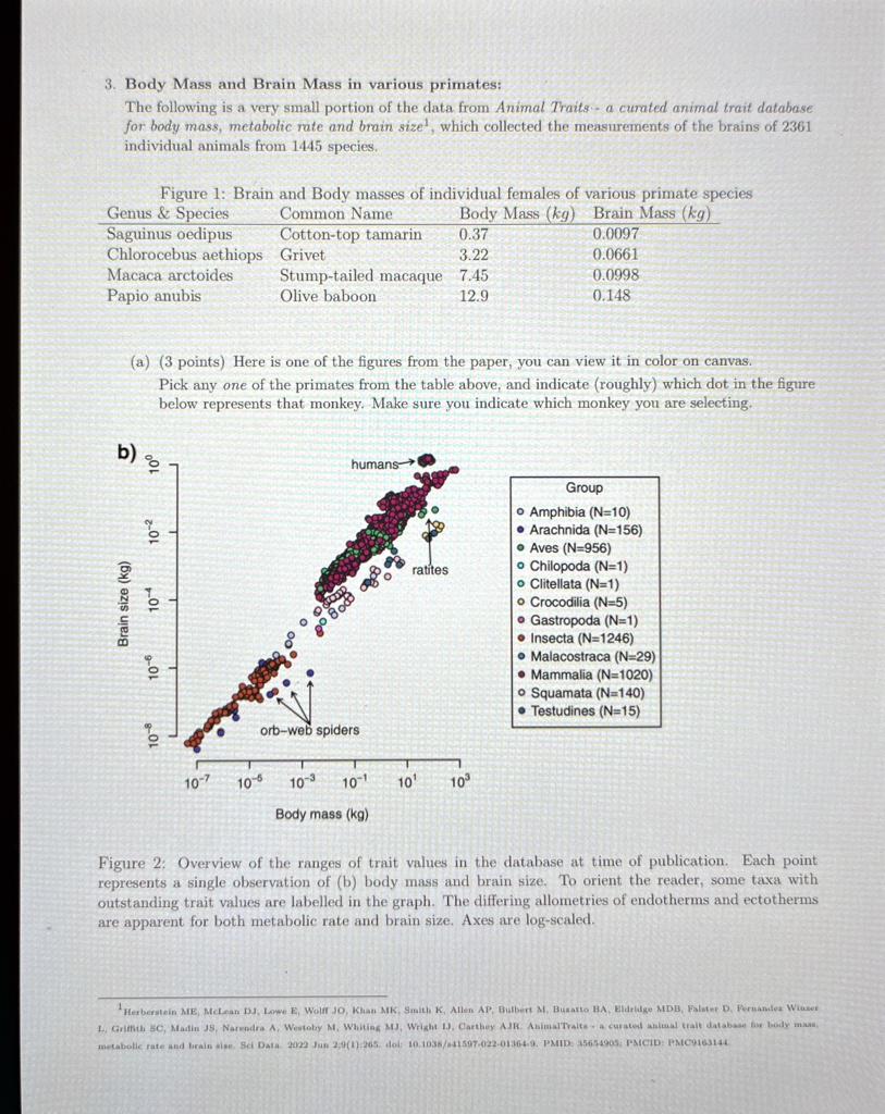 3 body mass and brain mass in various primates the following is a very small portion of the data from animal traits a curated animal trait database for body mass metabolic rate and brain siz 36754