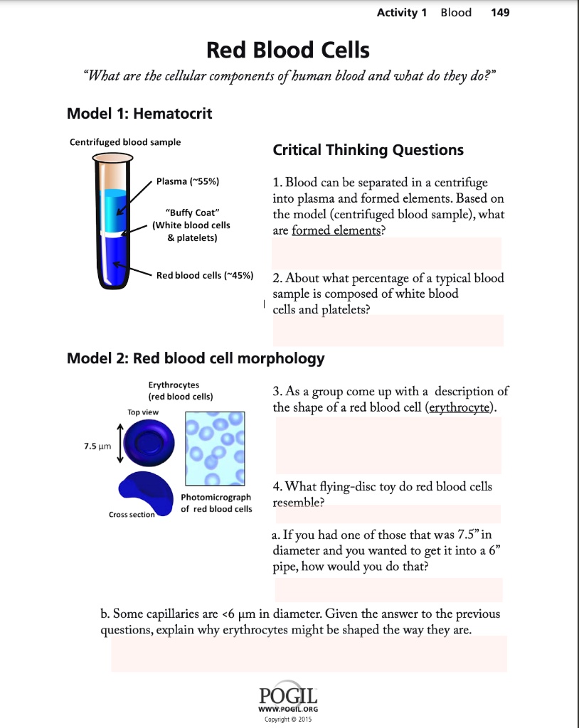 SOLVED: Activity 1: Blood Red Blood Cells 