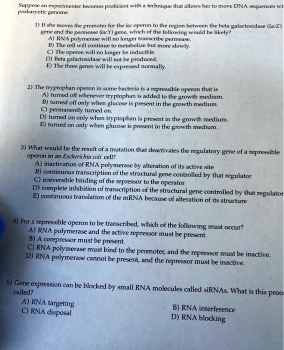 Suppose an experimenter becomes proficient with a technique that allows her to move DNA sequences within a prokaryotic genome.

1) If she moves the promoter for the lac operon to the region between the beta galactosidase (lacZ) gene and the permease (lacY) gene, which of the following would be likely?
A) RNA polymerase will no longer transcribe permease.
B) The cell will continue to metabolize but more slowly.
C) The operon will no longer be inducible.
D) Beta galactosidase will not be produced.
E) The three genes will be expressed normally.

2) The tryptophan operon in some bacteria is a repressible operon that is
A) turned off whenever tryptophan is added to the growth medium.
B) turned off only when glucose is present in the growth medium.
C) permanently turned on.
D) turned on only when tryptophan is present in the growth medium.
E) turned on only when glucose is present in the growth medium.

3) What would be the result of a mutation that deactivates the regulatory gene of a repressible operon in an Escherichia coli cell?
A) inactivation of RNA polymerase by alteration of its active site
B) continuous transcription of the structural gene controlled by that regulator
C) irreversible binding of the repressor to the operator
D) complete inhibition of transcription of the structural gene controlled by that regulator
E) continuous translation of the mRNA because of alteration of its structure

4) For a repressible operon to be transcribed, which of the following must occur?
A) RNA polymerase and the active repressor must be present.
B) A corepressor must be present.
C) RNA polymerase must bind to the promoter, and the repressor must be inactive.
D) RNA polymerase cannot be present, and the repressor must be inactive.

5) Gene expression can be blocked by small RNA molecules called siRNAs. What is this process called?
A) RNA targeting
B) RNA interference
C) RNA disposal
D) RNA blocking