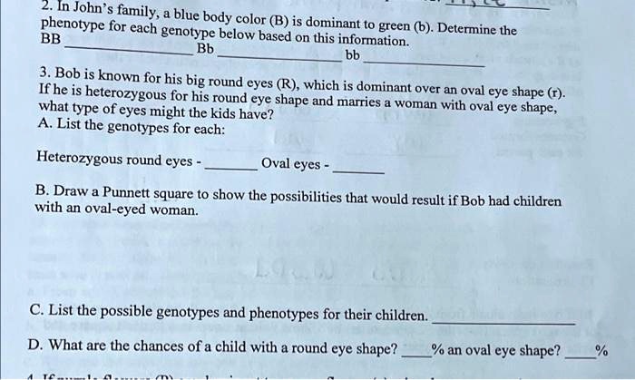 In John's Family, A Blue Body Color (B) Is Dominant To Green (b ...