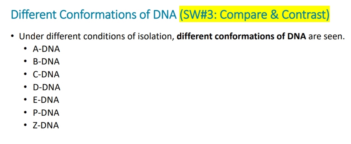 SOLVED: Different Conformations Of DNA (SW#3: Compare & Contrast ...