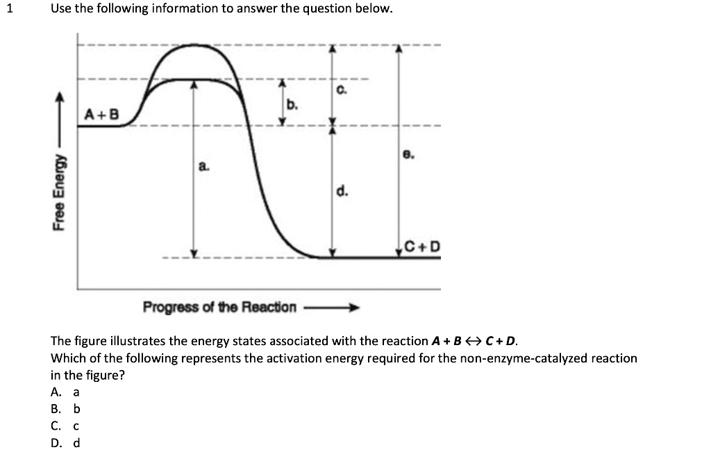 SOLVED: 1 Use The Following Information To Answer The Question Below. A ...