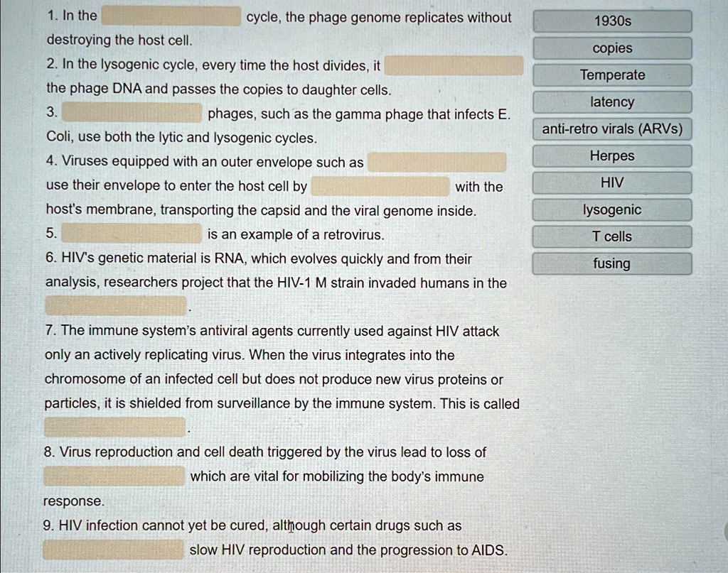 in the cycle the phage genome replicates without destroying the host cell in the lysogenic cycle every time the host divides it the phage dna and passes the copies to daughter cells phages s 10393