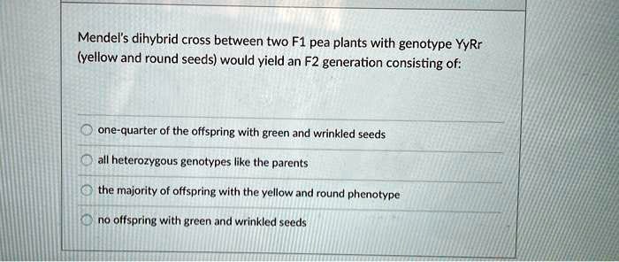 Mendel's dihybrid cross between two F1 pea plants with genotype YyRr (yellow and round seeds) would yield an F2 generation consisting of:
one-quarter of the offspring with green and wrinkled seeds
all heterozygous genotypes like the parents
the majority of offspring with the yellow and round phenotype
no offspring with green and wrinkled seeds