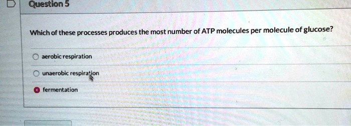 which of these processes produces the most number of atp molecules