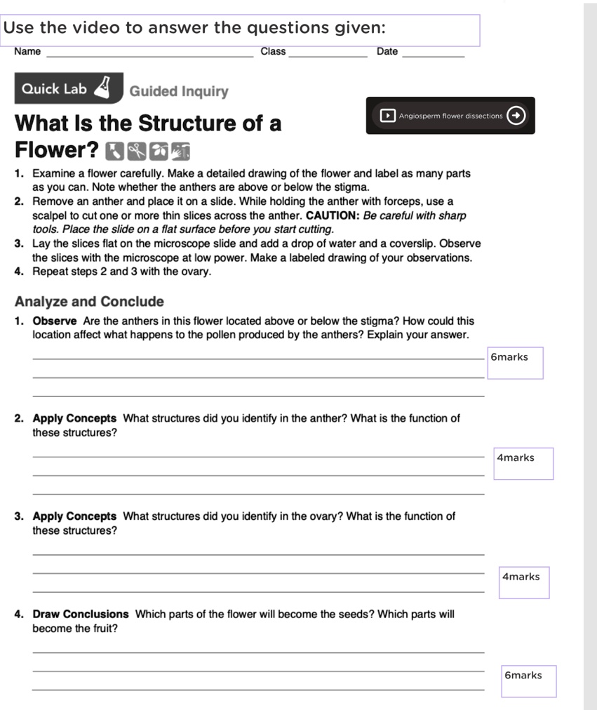 Flower Structure And Function Worksheet Answers Best Flower Site