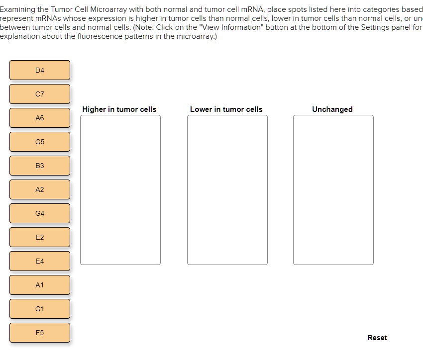 Examining the Tumor Cell Microarray with both normal and...