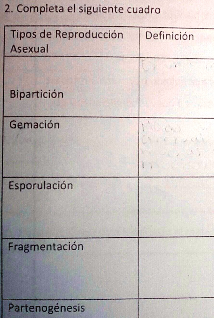 Esporulación Ejemplos