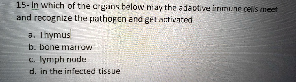 15- in which of the organs below may the adaptive immune cells meet
and recognize the pathogen and get activated
a. Thymus
b. bone marrow
c. lymph node
d. in the infected tissue