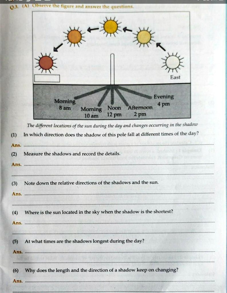 plz answers the questions above 28709