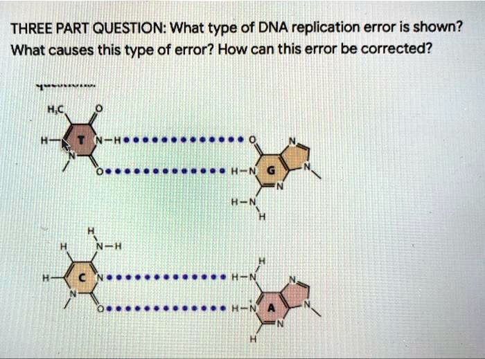 SOLVED: THREE PART QUESTION: What type of DNA replication error is ...