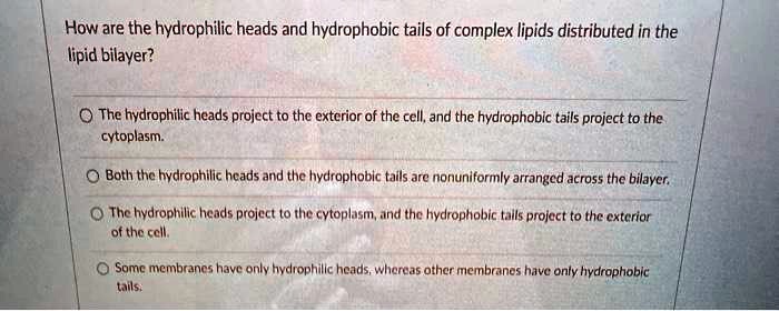 How are the hydrophilic heads and hydrophobic tails of complex lipids distributed in the
lipid bilayer?
The hydrophilic heads project to the exterior of the cell, and the hydrophobic tails project to the
cytoplasm.
Both the hydrophilic heads and the hydrophobic tails are nonuniformly arranged across the bilayer.
The hydrophilic heads project to the cytoplasm, and the hydrophobic tails project to the exterior
of the cell.
Some membranes have only hydrophilic heads, whereas other membranes have only hydrophobic
tails.