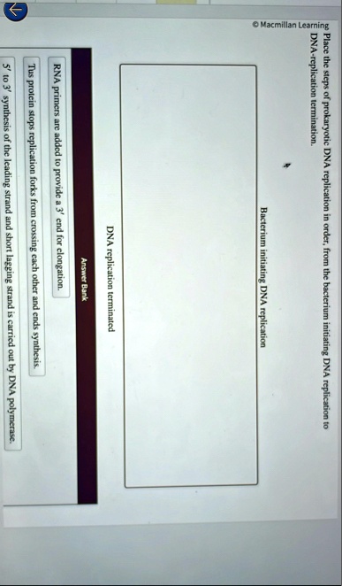 macmillan learning place the steps of prokaryotic dna replication in ...
