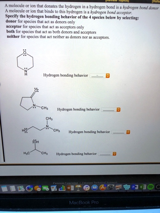 A molecule or ion that donates the hydrogen in a hydrogen bond is a ...