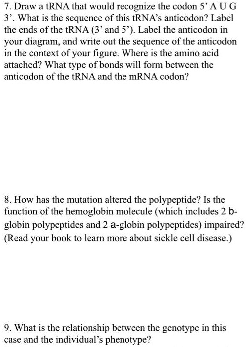 7. Draw a tRNA that would recognize the codon 5' A U G 3'. What is the sequence of this tRNA's anticodon? Label the ends of the tRNA (3' and 5'). Label the anticodon in your diagram, and write out the sequence of the anticodon in the context of your figure. Where is the amino acid attached? What type of bonds will form between the anticodon of the tRNA and the mRNA codon?

8. How has the mutation altered the polypeptide? Is the function of the hemoglobin molecule (which includes 2 b-globin polypeptides and 2 a-globin polypeptides) impaired? (Read your book to learn more about sickle cell disease.)

9. What is the relationship between the genotype in this case and the individual's phenotype?