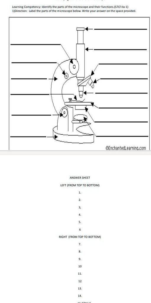 SOLVED: Please help me with Activity #1: Identifying the Parts of the ...