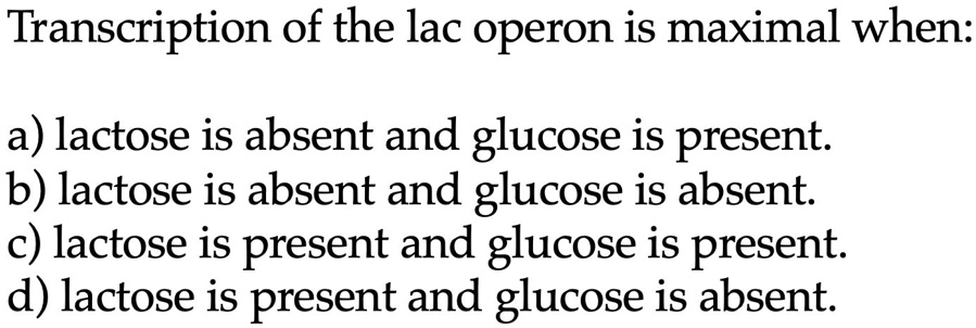 Transcription of the lac operon is maximal when:
a) lactose is absent and glucose is present.
b) lactose is absent and glucose is absent.
c) lactose is present and glucose is present.
d) lactose is present and glucose is absent.