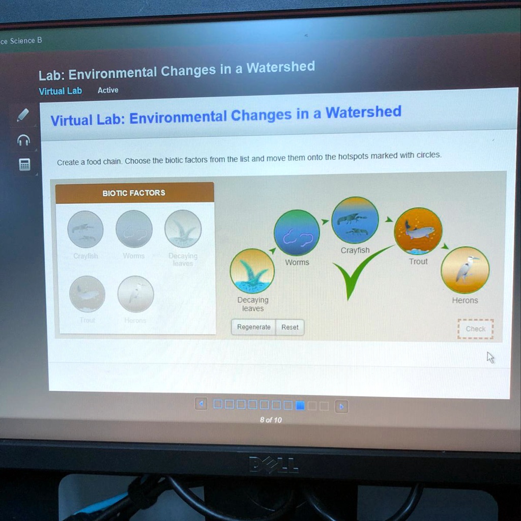 SOLVED 'Create a food chain. Choose the biotic factors from the list
