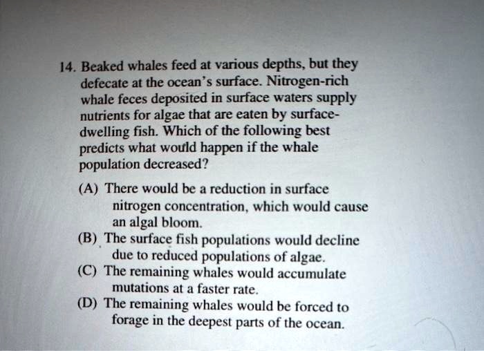 SOLVED: 14. Beaked whales feed at various depths; but they defecate at