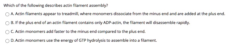 Which of the following describes actin filament assembly?
A. Actin filaments appear to treadmill, where monomers dissociate from the minus end and are added at the plus end.
B. If the plus end of an actin filament contains only ADP-actin, the filament will disassemble rapidly.
C. Actin monomers add faster to the minus end compared to the plus end.
D. Actin monomers use the energy of GTP hydrolysis to assemble into a filament.