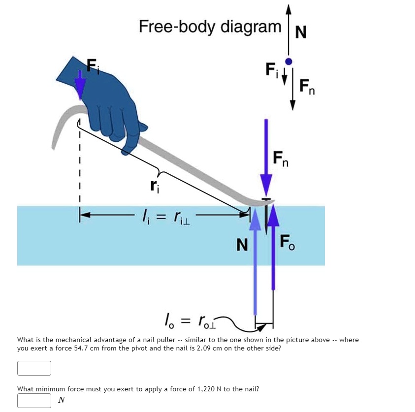 SOLVED Freebody diagram = N Fo What is the mechanical advantage of