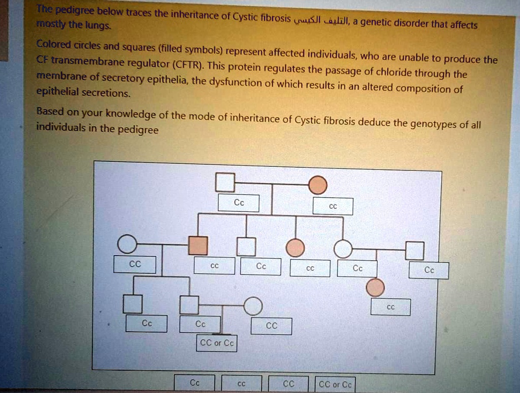 SOLVED: The pedigree below traces the inheritance of Cystic fibrosis ...