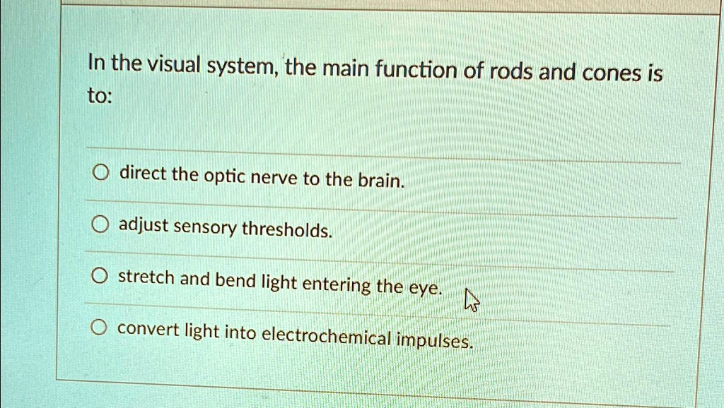 SOLVED In the visual system, the main function of rods and cones is to