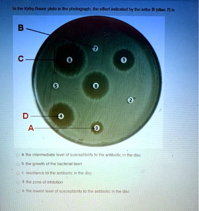In the Kirby-Bauer plate in the photograph, the effect indicated by the letter B (disc 7) is
B
7
C
6
1
5
8
2
D
4
A
3
a. the intermediate level of susceptibility to the antibiotic in the disc
b. the growth of the bacterial lawn
c. resistance to the antibiotic in the disc
d. the zone of inhibition
e. the lowest level of susceptibility to the antibiotic in the disc