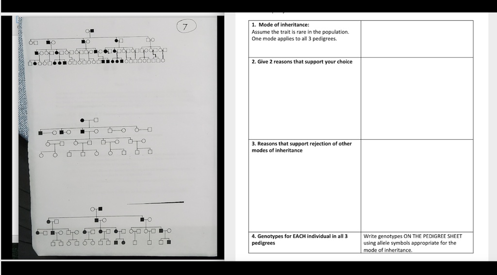 Solved Mode Of Inheritance Assume The Trait Rare The Population One Mode Applies To All Pedigrees Fttec Suddonduo Shonoon Give Reasons That Support Vour Choice Reasons That Support Rejection Of Other Modes