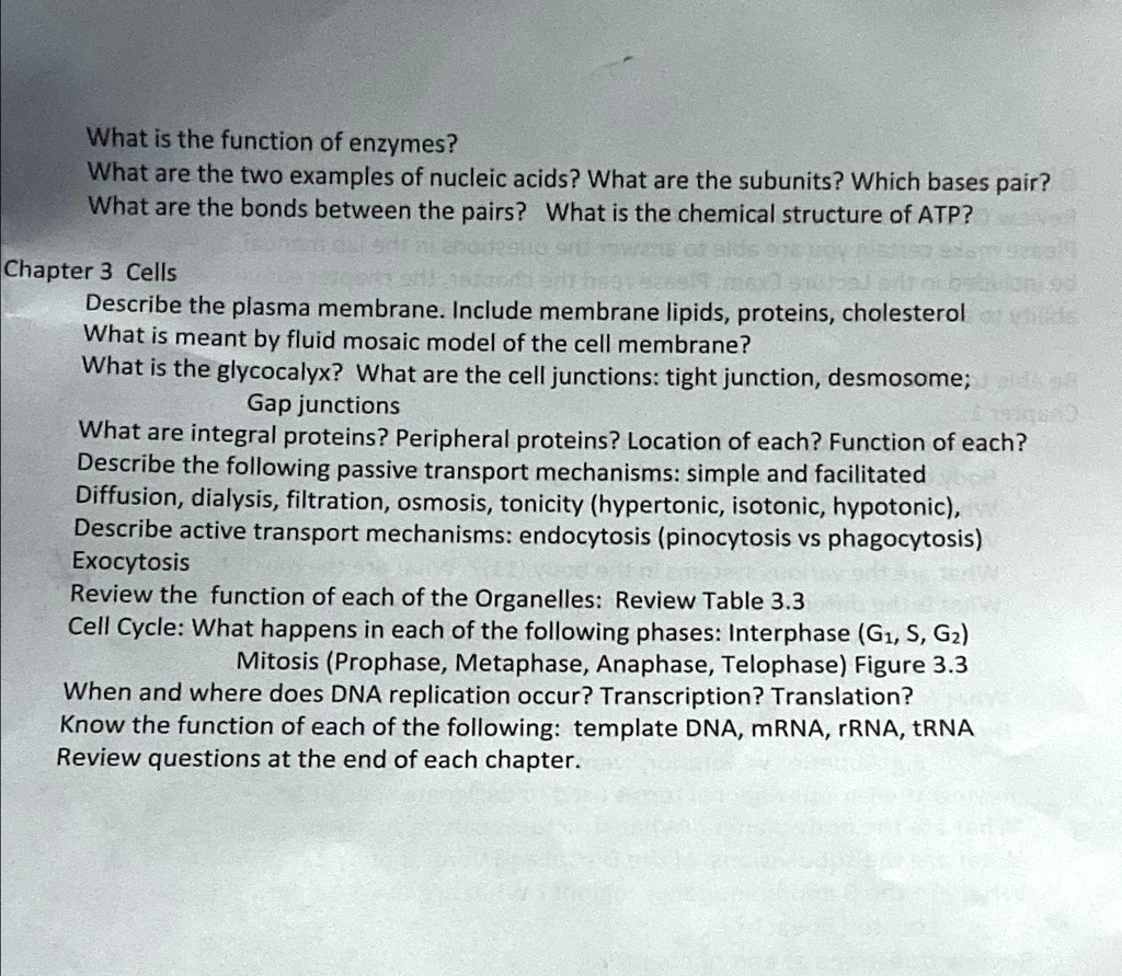 SOLVED: What is the function of enzymes? What are the two examples of ... Biology Diagrams