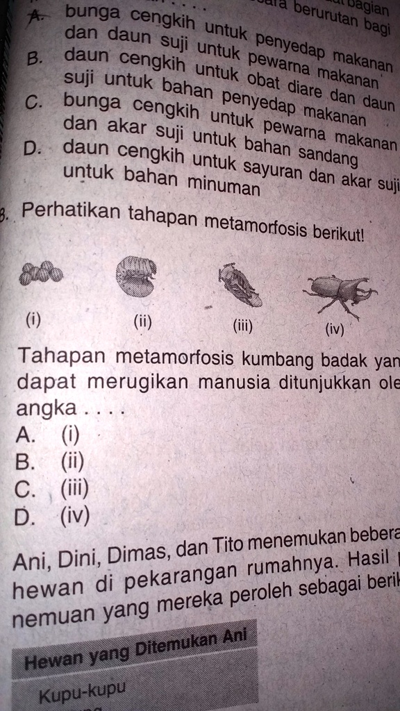 SOLVED: Perhatikan Tahapan Metamorfosis Berikut! Bunga Ec Jberurutan ...