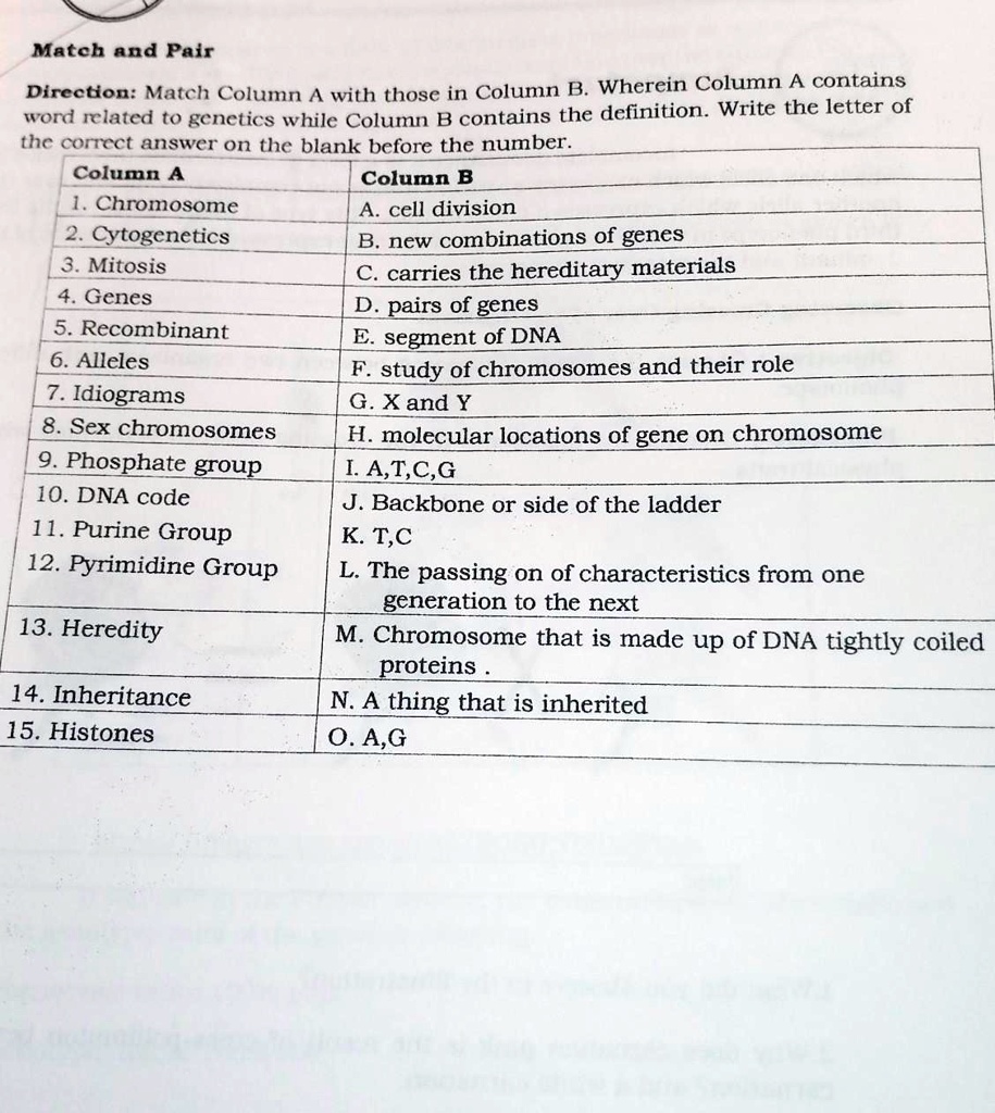 Match and Pair
Direction: Match Column A with those in Column B. Wherein Column A contains
word related to genetics while Column B contains the definition. Write the letter of
the correct answer on the blank before the number.
Column A
Column B
1. Chromosome
A. cell division
2. Cytogenetics
B. new combinations of genes
3. Mitosis
C. carries the hereditary materials
4. Genes
D. pairs of genes
5. Recombinant
E. segment of DNA
6. Alleles
F. study of chromosomes and their role
7. Idiograms
G. X and Y
8. Sex chromosomes
H. molecular locations of gene on chromosome
9. Phosphate group
I. A,T,C,G
10. DNA code
J. Backbone or side of the ladder
11. Purine Group
K. T,C
12. Pyrimidine Group
L. The passing on of characteristics from one
generation to the next
13. Heredity
M. Chromosome that is made up of DNA tightly coiled
proteins.
14. Inheritance
N. A thing that is inherited
15. Histones
O. A,G