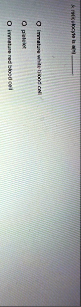 a reticulocyte is an  o immature white blood cell o platelet o immature red blood cell 68006