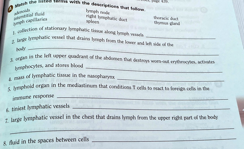 SOLVED: A Match the listed terms with the descriptions that follow ...