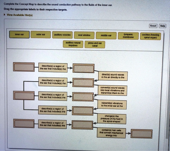 Complete The Concept Map To Describe The Sound Conduction Pathway To The Fluids Of The Inner Ear